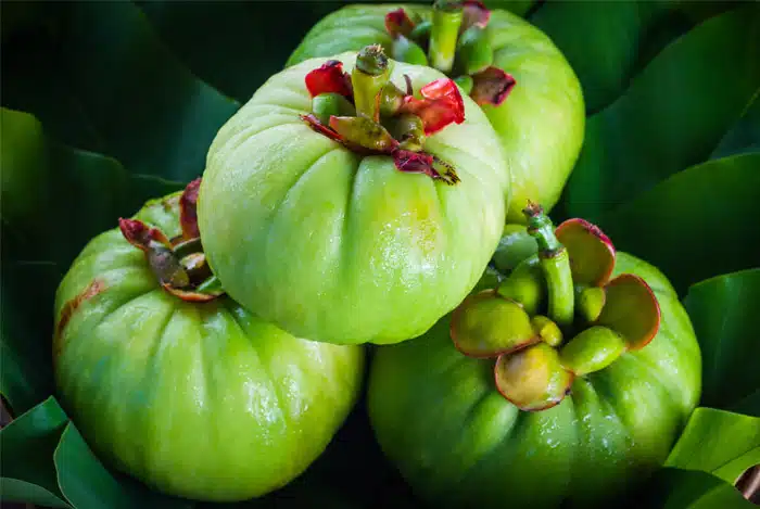 Garcinia-Cambodia