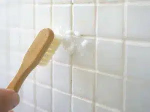 Types of bacteria found in bathrooms and how to fight them by dialupplumbing.com.au