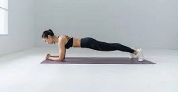 The abdominal plank for Gym Workouts