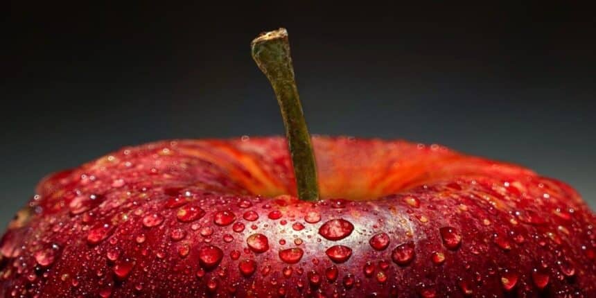 natural foods