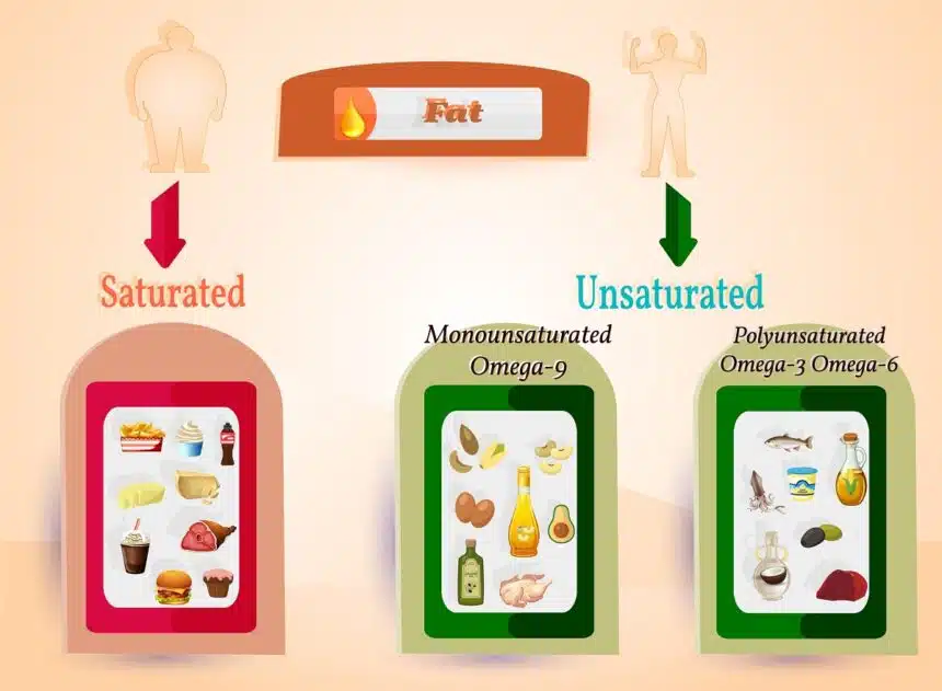 difference between saturated and unsaturated fats