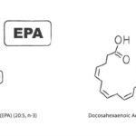 EPA vs DHA