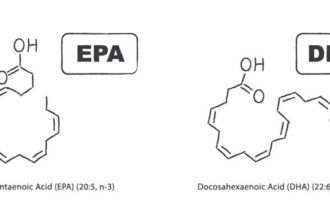 EPA vs DHA