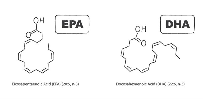 EPA vs DHA