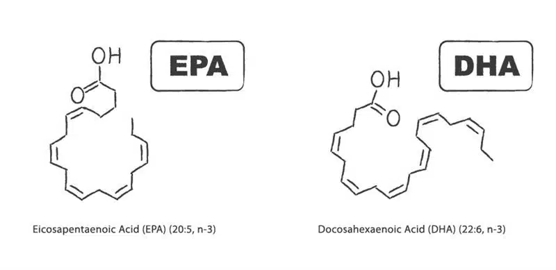 EPA vs DHA - Conditions That Benefit From Them.