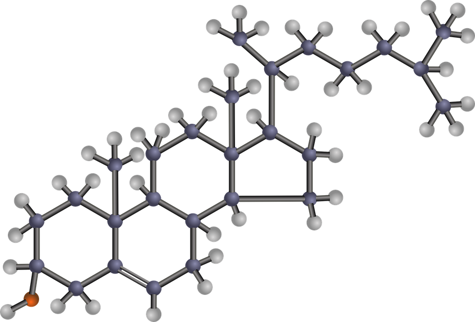 VLDL Cholesterol