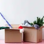 Christmas Storage