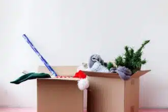 Christmas Storage