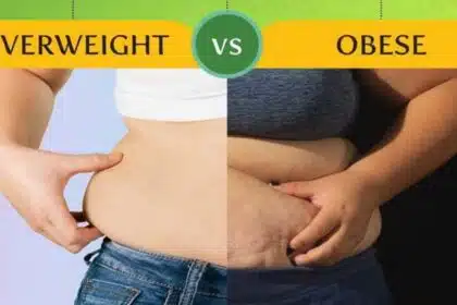 overweight vs obese