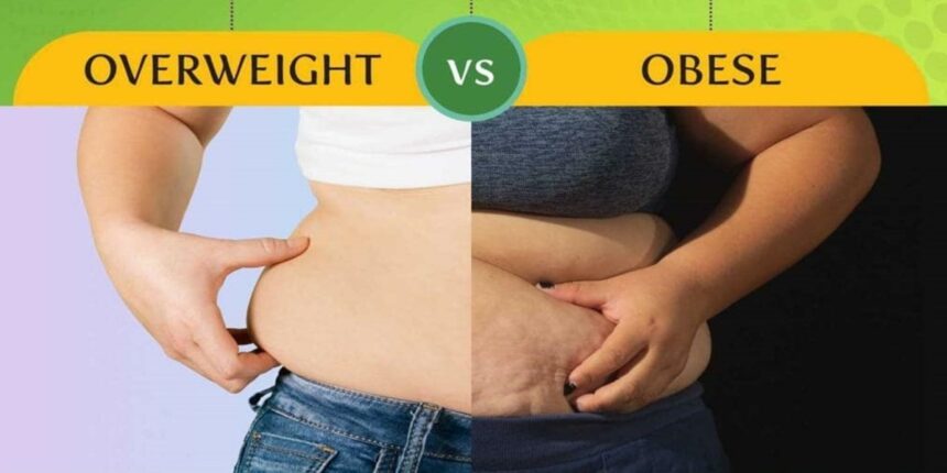 overweight vs obese