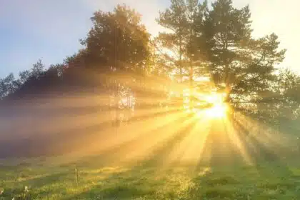 Sunlight