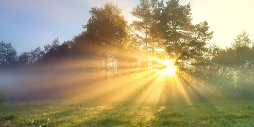 Sunlight