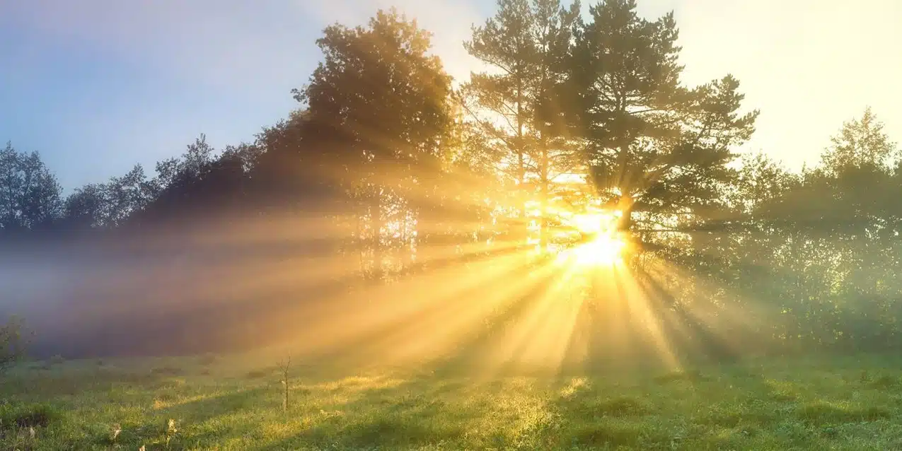 Sunlight