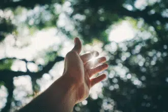 Can You Get Vitamin D from the Sun After 4PM?