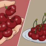 Eating Cherries Daily