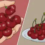 Eating Cherries Daily