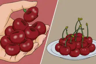Eating Cherries Daily