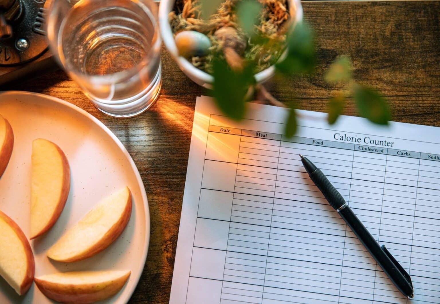 What to Check Before You Order Calorie Deficit - Product Reviews - weight loss and healthy lifestyle