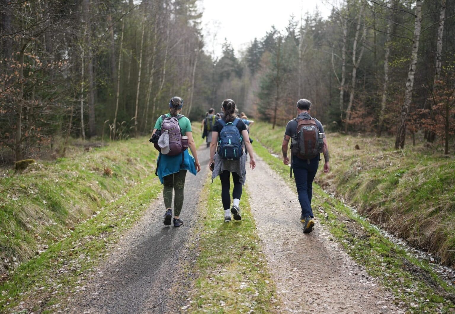 What Makes Walking For Weight Loss Worth Ordering Again - Weight Loss - weight loss and healthy lifestyle