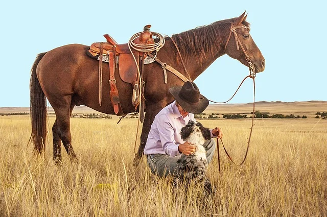 cowboy-1130695_640