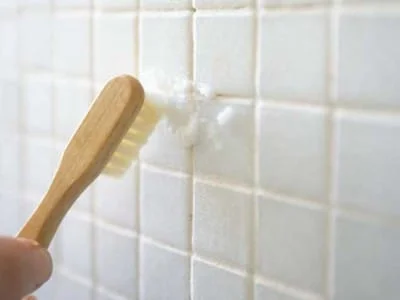 Types of bacteria found in bathrooms and how to fight them by dialupplumbing.com.au