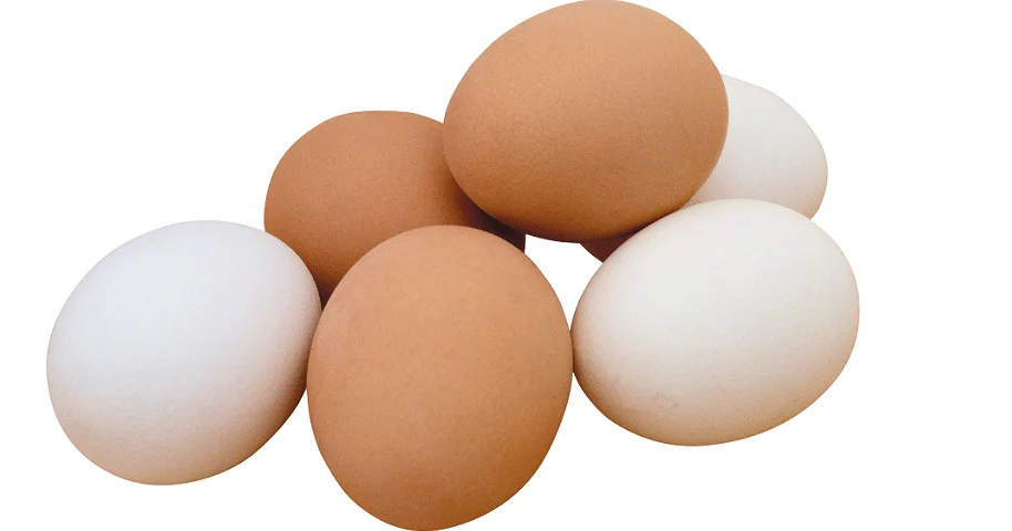 Eating protein