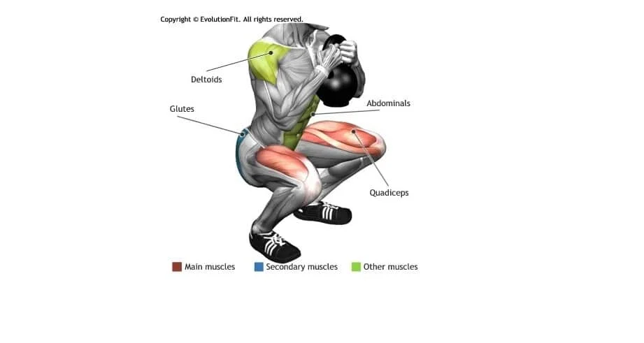 Goblet Squat Exercice